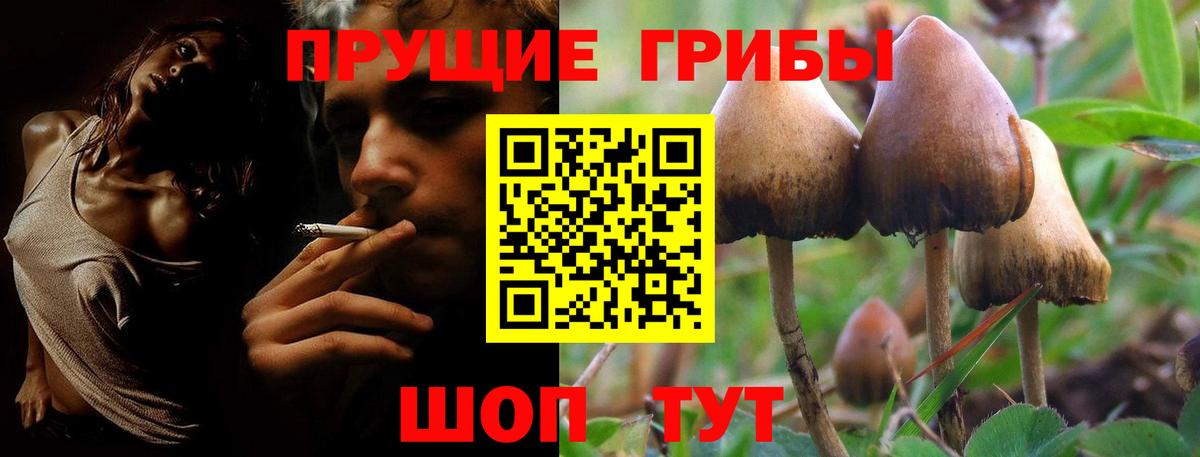 Галлюциногенные грибы ЛСД Волжский