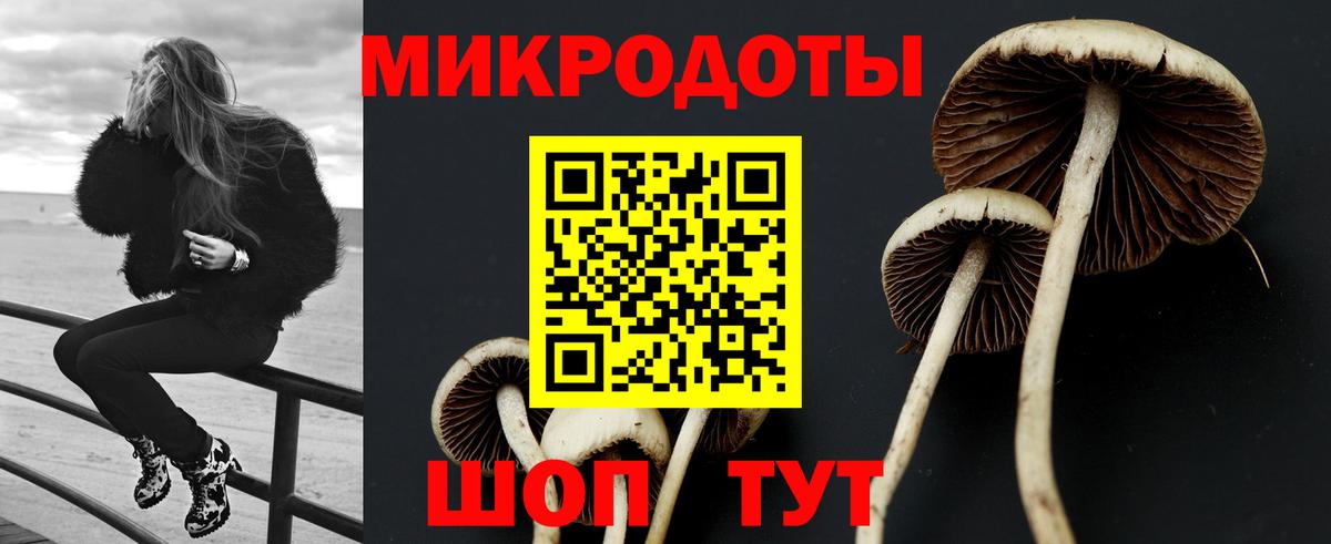 Галлюциногенные грибы Magic Shrooms  Вход с VPN  закладки  Галлюциногенные грибы MAGIC MUSHROOMS  Волжский 